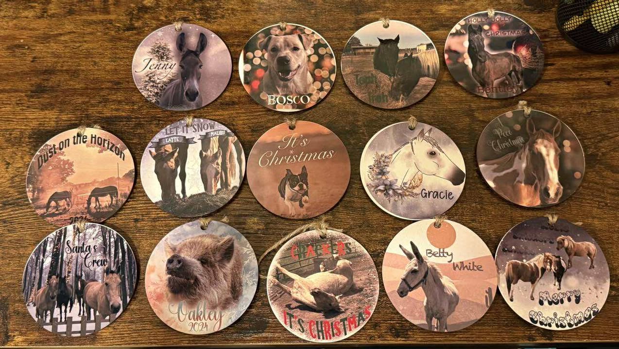 Full set of Christmas Ornaments