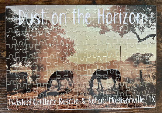 Dust on the horizon puzzle